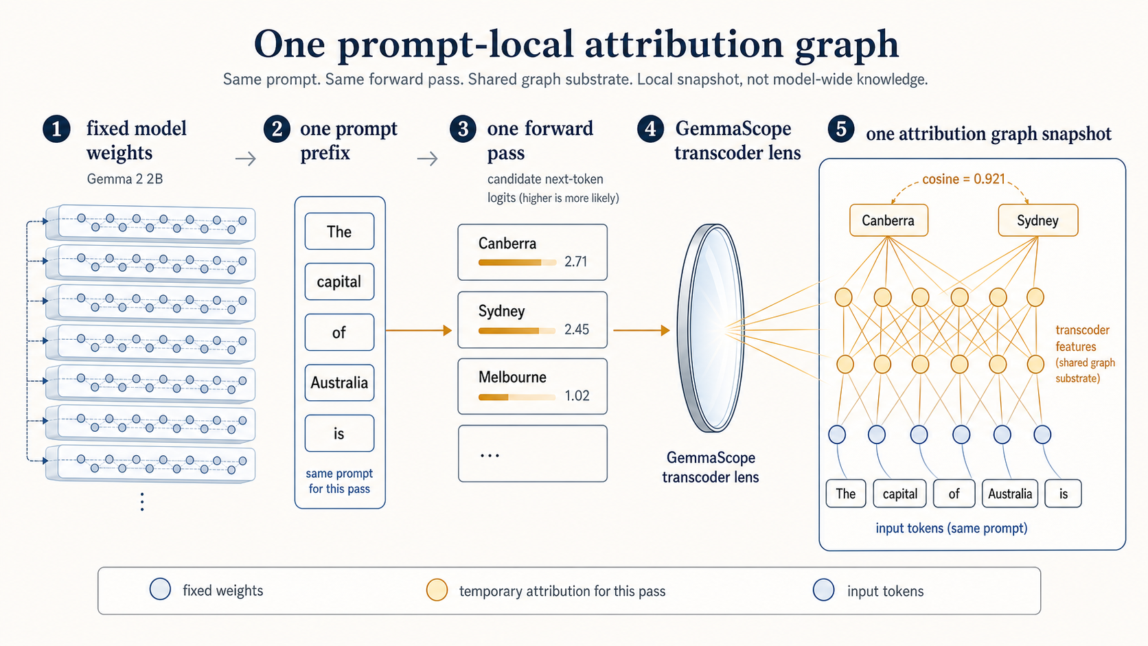 Diagram of one prompt-local attribution graph from fixed weights through prompt prefix, forward pass, GemmaScope transcoder lens, and candidate logits.